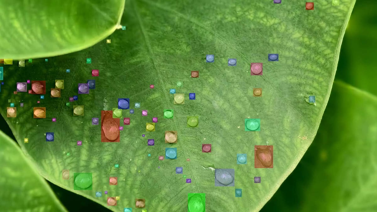 Building Curated Datasets for Mobile & Wearable AI