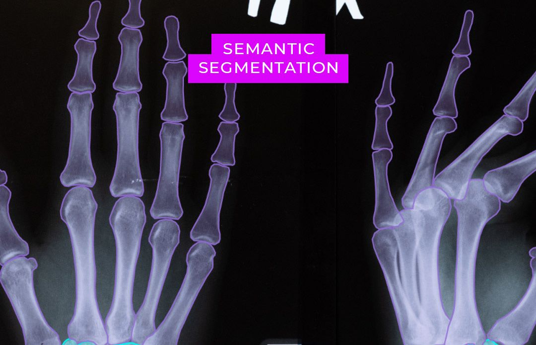 Image Annotation for Life Sciences