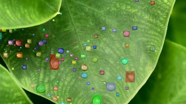 Building Curated Datasets for Mobile & Wearable AI