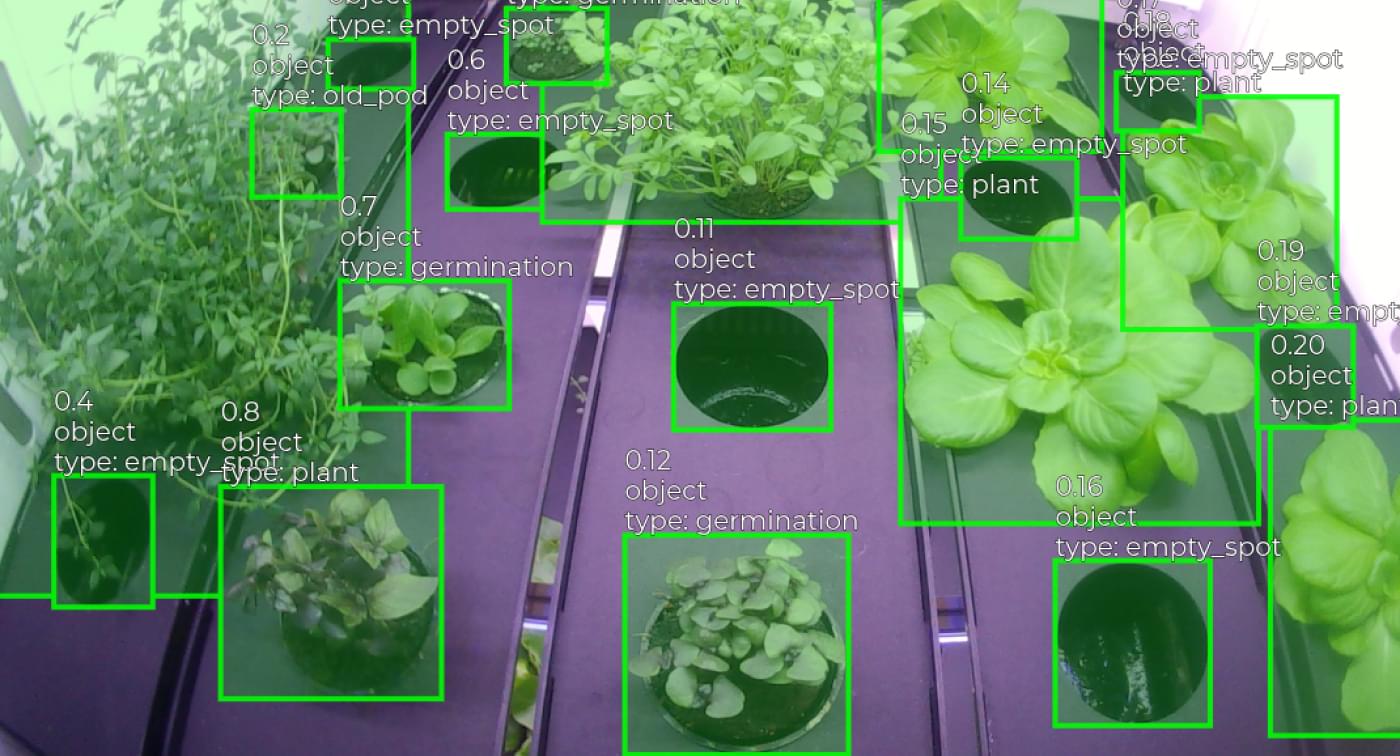 agwa object detection