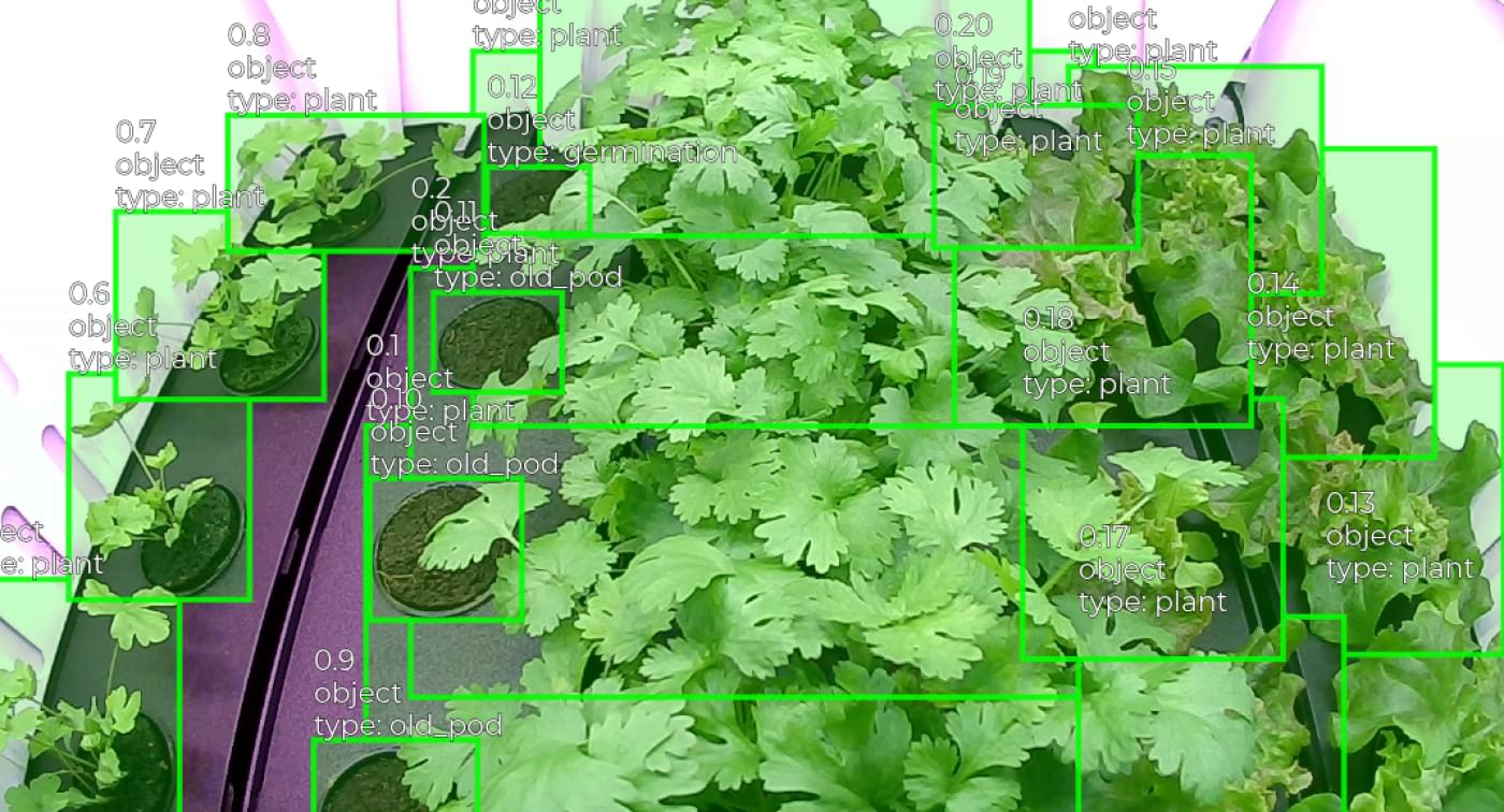 Accurate detection and boundary annotation