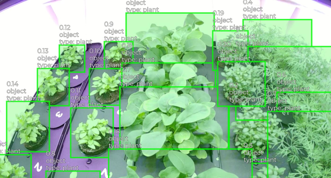 Accurate detection and boundary annotation