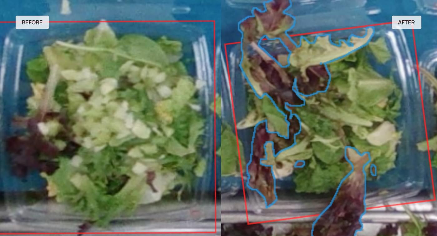 Before and after frame pair used to segment a newly added salad ingredient