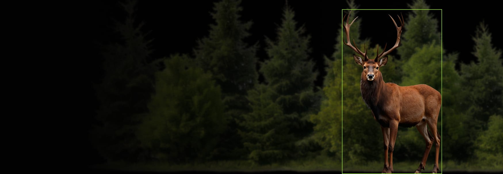 DroneWild wildlife monitoring case study header with a deer detected inside a bounding box