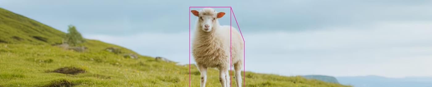 guide to image annotation