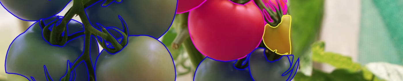 How to Annotate Images